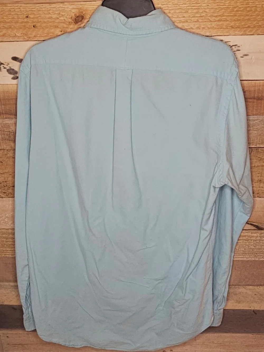 Polo by Ralph Lauren Pale Blue Long-Sleeve Button-Up Shirt